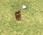England Under 20s play golf before World Cup