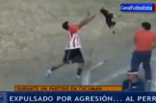 Footballers v Animals: a recent history