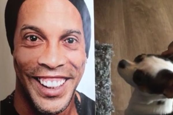 Small dog runs away from Ronaldinho picture in a magazine
