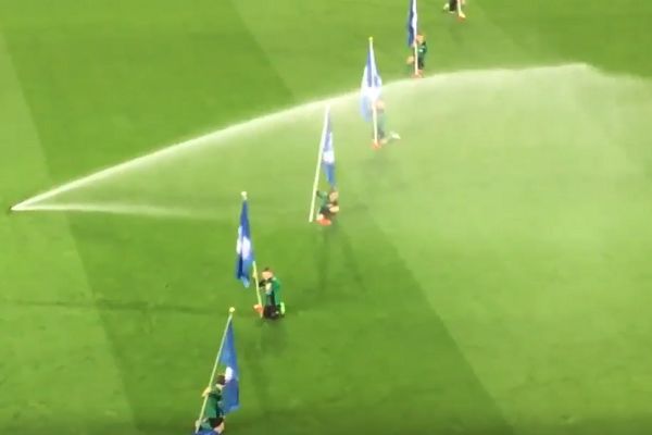 Cardiff mascots soaked by the sprinklers before Championship clash with Leeds