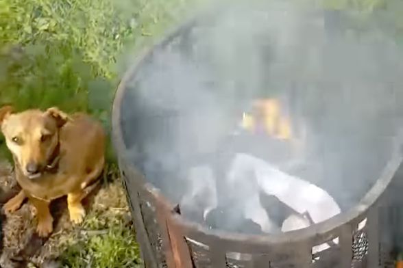 A fan burns Newcastle shirts in the garden after their defeat to Man Utd at Old Trafford